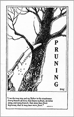Pruning